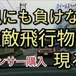 【驚き】🔴ホイールスペンサー購入後、台風の大雨の中、強敵飛来物(妖怪一反未綿)現る!!