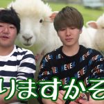 【神業】超上級者によるどうぶつタワーバトルが凄すぎた【どうぶつの森パクリゲー】