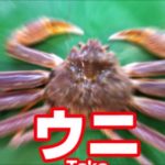 爆笑　こんな面白のあり！！！　1