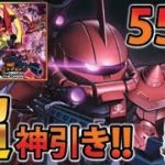 【ガンロワ】3周年ガシャ＆熱源祭55連!!驚きの結果!?【MOKOTV】