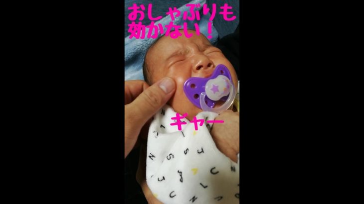 おしゃぶりしながらこんなに泣けるん？双子赤ちゃん生後48日 妹 mix twins