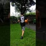 爆笑的影片