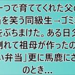 【感動する話】男手一つで育ててくれた父の手作り弁当を笑う同級生→ある日父が過労で倒れて祖母が作ったのに「田舎くさい弁当」更に馬鹿にされたそのとき…【スカッとする話】【スカッと】【朗読】【修羅場】