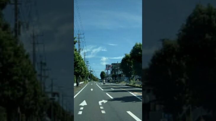 自由な走行に驚き　＼(◎o◎)／！